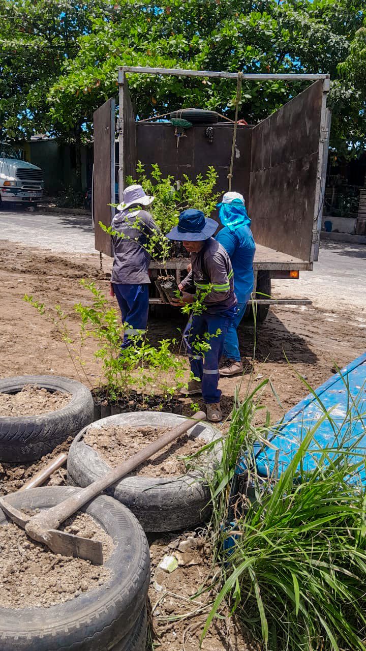Avanzamos en la recuperación de espacios: Cierre del promontorio en Tikal Norte